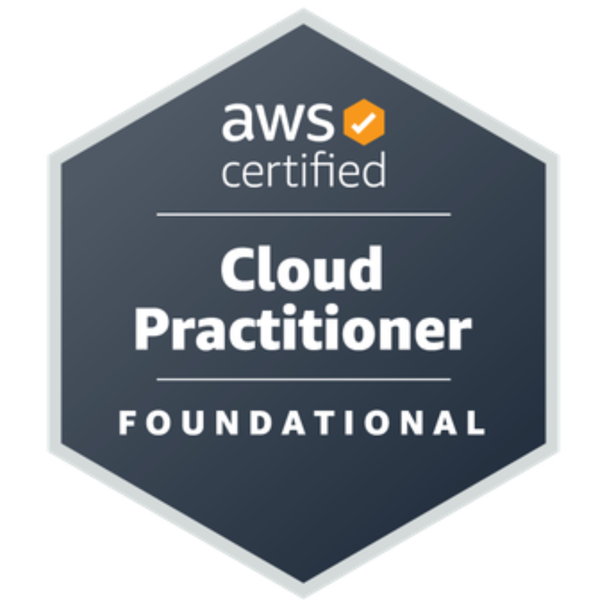 AWS Certified Cloud Practitioner : AWS Certified Cloud Practitioner